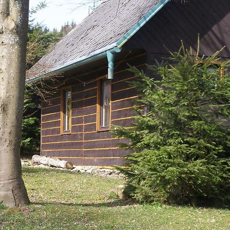 Chata Dvorecna Villa Loučovice Dış mekan fotoğraf