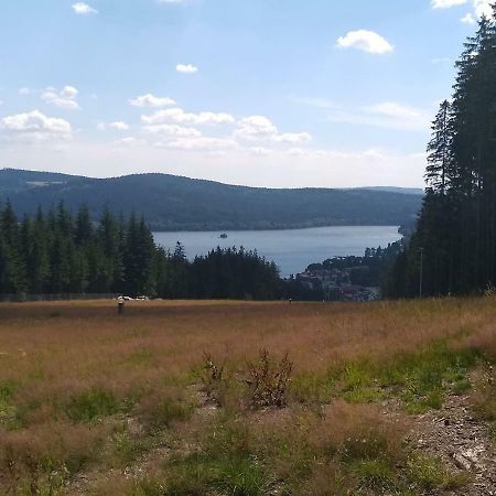 Chata Dvorecna Villa Loučovice Dış mekan fotoğraf