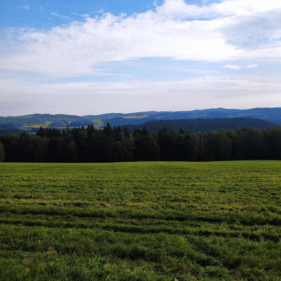 Chata Dvorecna Villa Loučovice Dış mekan fotoğraf