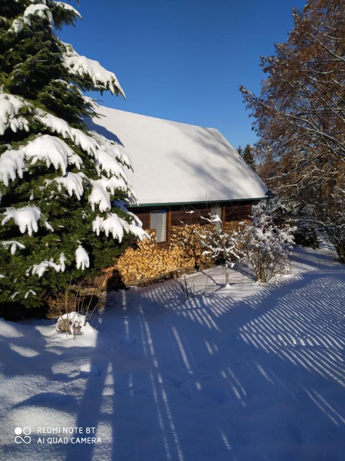 Chata Dvorecna Villa Loučovice Dış mekan fotoğraf