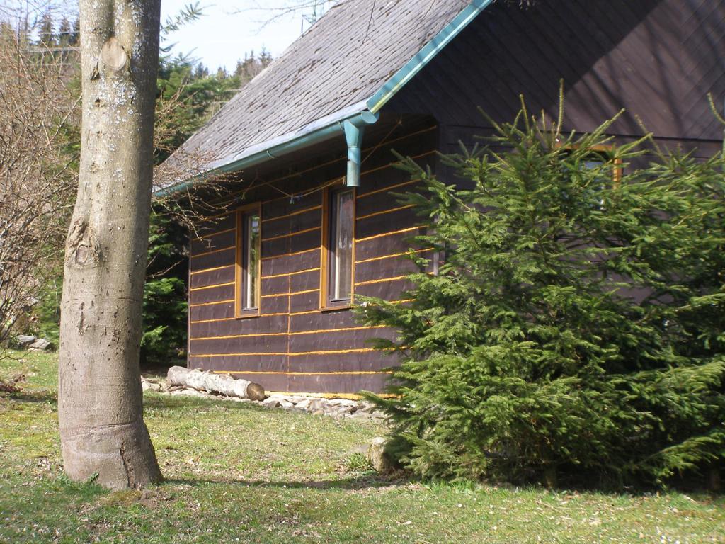 Chata Dvorecna Villa Loučovice Dış mekan fotoğraf