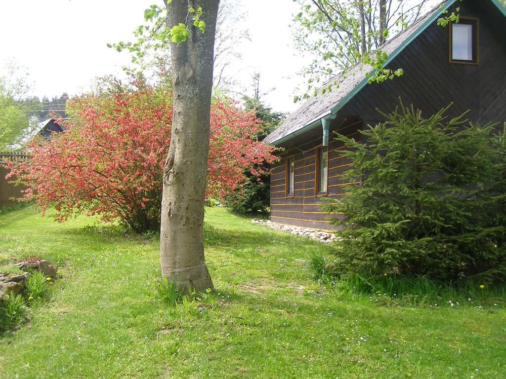 Chata Dvorecna Villa Loučovice Dış mekan fotoğraf