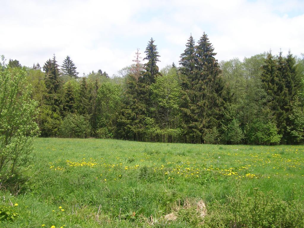 Chata Dvorecna Villa Loučovice Dış mekan fotoğraf
