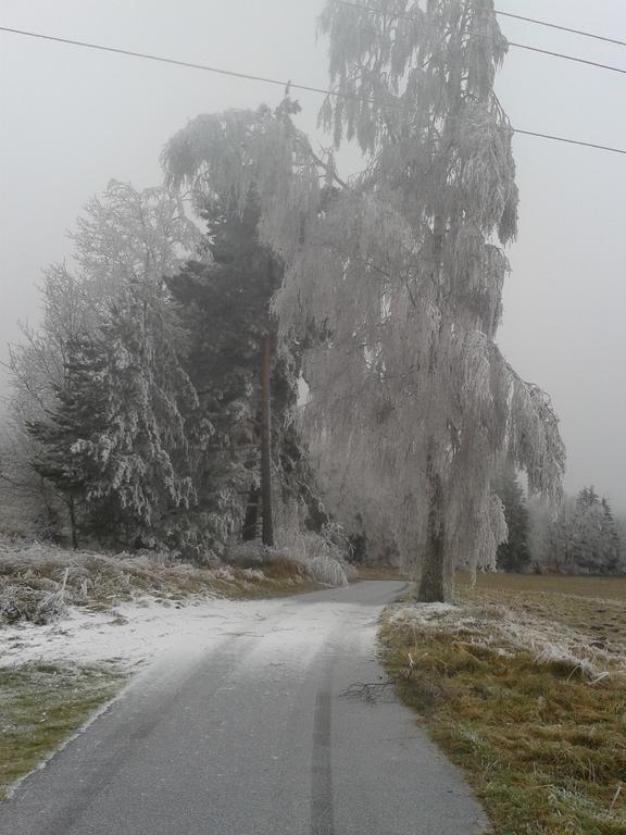 Chata Dvorecna Villa Loučovice Dış mekan fotoğraf